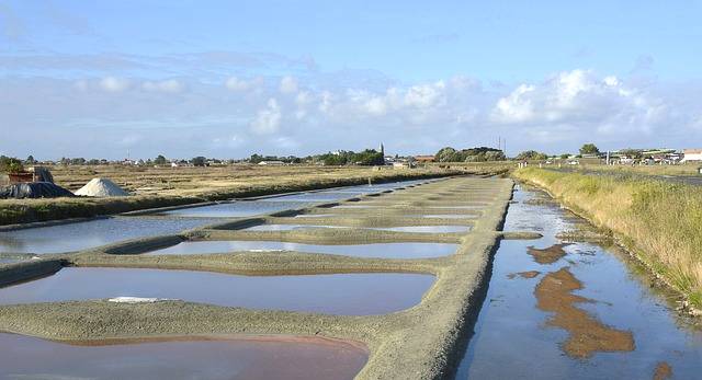 Marais salants Poitou Charentes