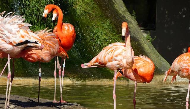 La Palmyre Poitou Charentes